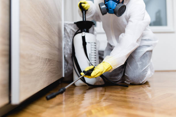 Best Pest Inspection Near Me  in Woodsville, NH
