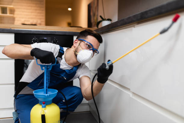 Best Bed Bug Extermination  in Woodsville, NH