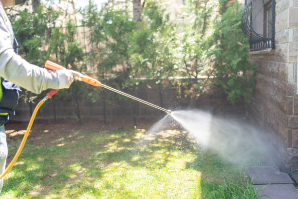 Best Pest Prevention Services  in Woodsville, NH