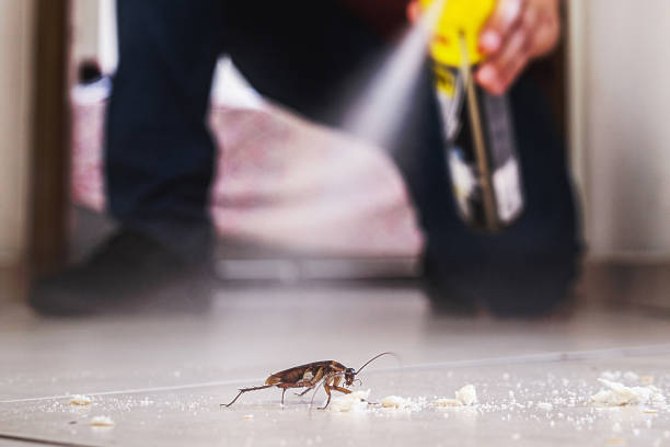 Wildlife Control Services in Woodsville, NH