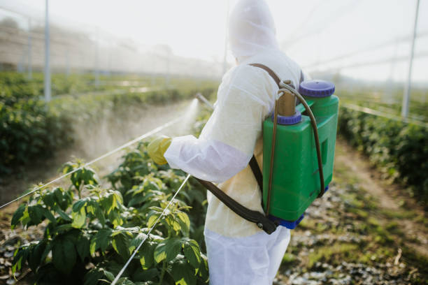 Best Best Pest Control Companies  in Woodsville, NH